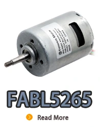 Motor elétrico dc sem escova de rotor interno FABL5265 com driver embutido